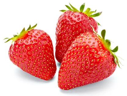 Fragaria 'Selva' 6-pack Fragaria 'Selva' 6-pack