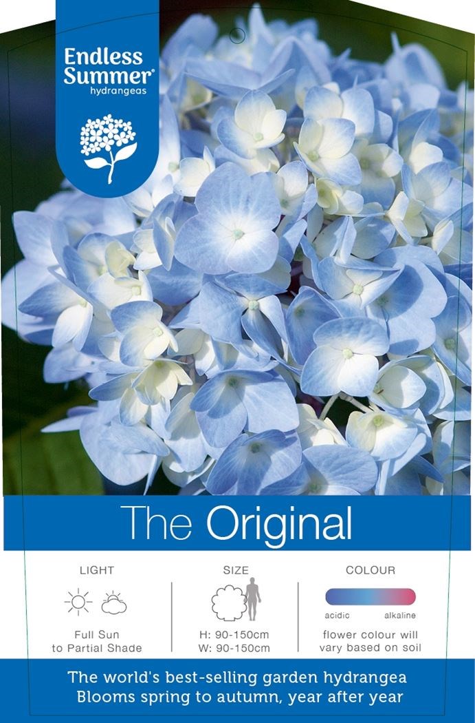 Hydrangea E.S. 'The Original'® Blue Hydrangea E.S. 'The Original'® Blue