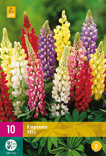 X 10 LUPINUS MIX I X 10 LUPINUS MIX I