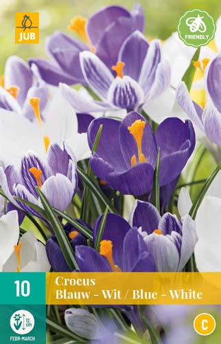 CROCUS BLAUW - WIT MIX 8/9 10 st. CROCUS BLAUW - WIT MIX 8/9 10 st.