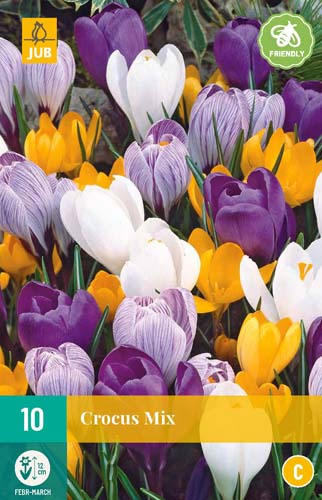 CROCUS GROOTBLOEMIG MIX 8/9 10 st. CROCUS GROOTBLOEMIG MIX 8/9 10 st.