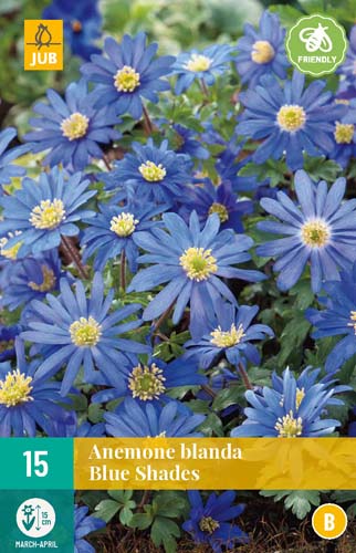 ANEMONE BLANDA BLUE SHADES 5/+ 15 st. ANEMONE BLANDA BLUE SHADES 5/+ 15 st.