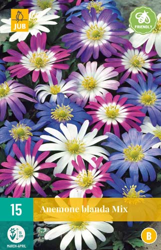 ANEMONE BLANDA MIX 5/+   15 st.