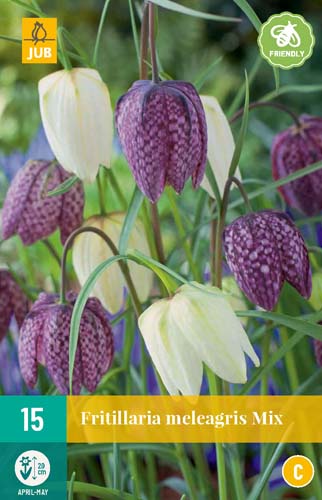 FRITILLARIA MELEAGRIS MIX 6/7 15 st. FRITILLARIA MELEAGRIS MIX 6/7 15 st.