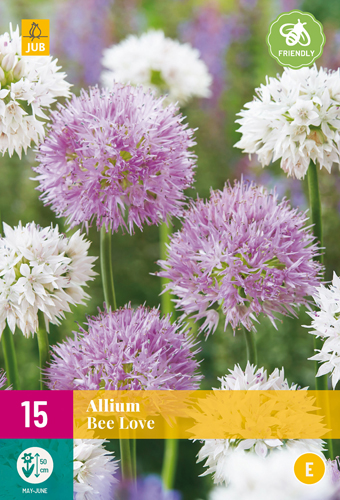 ALLIUM BEE LOVE 6/+ 15 st. ALLIUM BEE LOVE 6/+ 15 st.