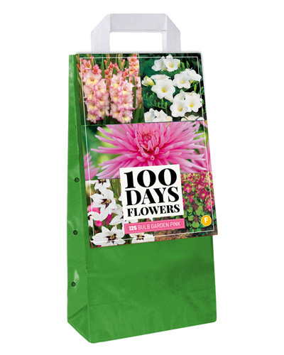 BULB GARDEN PINK 125 bollen BULB GARDEN PINK 125 bollen