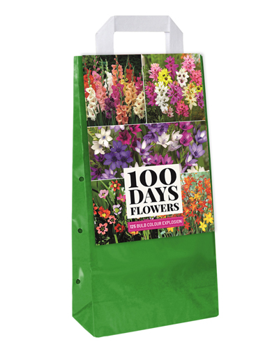 TAS MET 125 BULB GARDEN COLOUR EXPLOSION VJ I TAS MET 125 BULB GARDEN COLOUR EXPLOSION VJ I