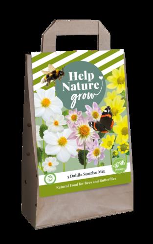 X 1 TAS 5 DAHLIA SUNRISE MIX - HELP NATURE GROW I