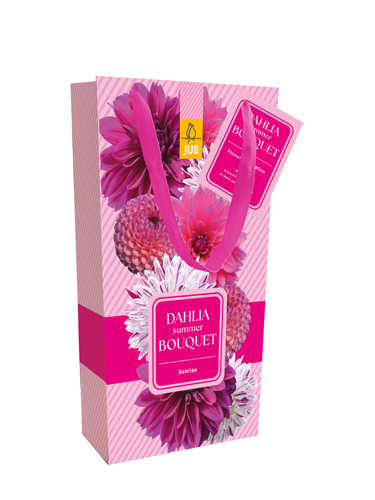 TAS MET 4 DAHLIA SUMMER BOUQUET - SUNRISE I TAS MET 4 DAHLIA SUMMER BOUQUET - SUNRISE I