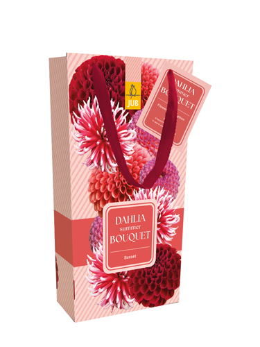 TAS MET 4 DAHLIA SUMMER BOUQUET - SUNSET I TAS MET 4 DAHLIA SUMMER BOUQUET - SUNSET I
