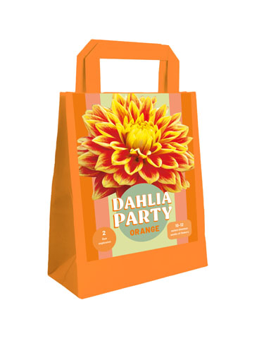 X 1 TAS 2 DAHLIA PARTY ORANGE I