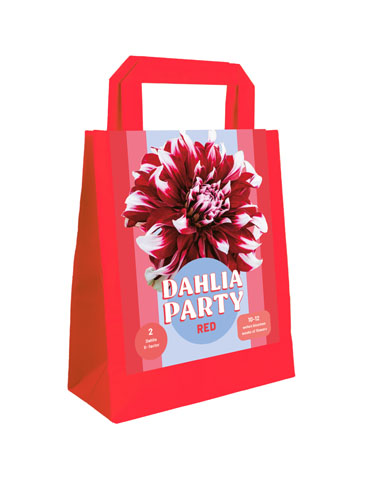 X 1 TAS 2 DAHLIA PARTY RED I