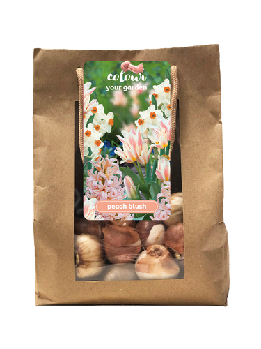 1 TAS 25 COLOUR YOUR GARDEN PEACH BLUSH I 1 TAS 25 COLOUR YOUR GARDEN PEACH BLUSH I