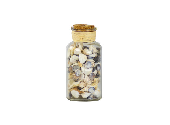 SHELLS IN A BOTTLE 15cm