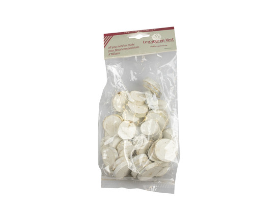 Houten schijfjes wit - Wooden Slice White 2/3 cm