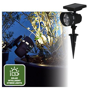 Solar Intelligent Hybrid Solar - Montana 50LM Spotlamp