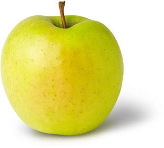 Malus d. 'Golden Delicious' struik Malus d. 'Golden Delicious' struik