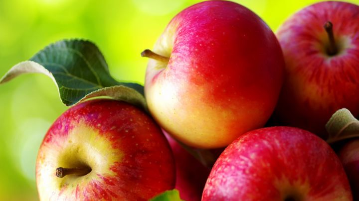 Malus dom. Pinova laagstam Malus dom. Pinova laagstam