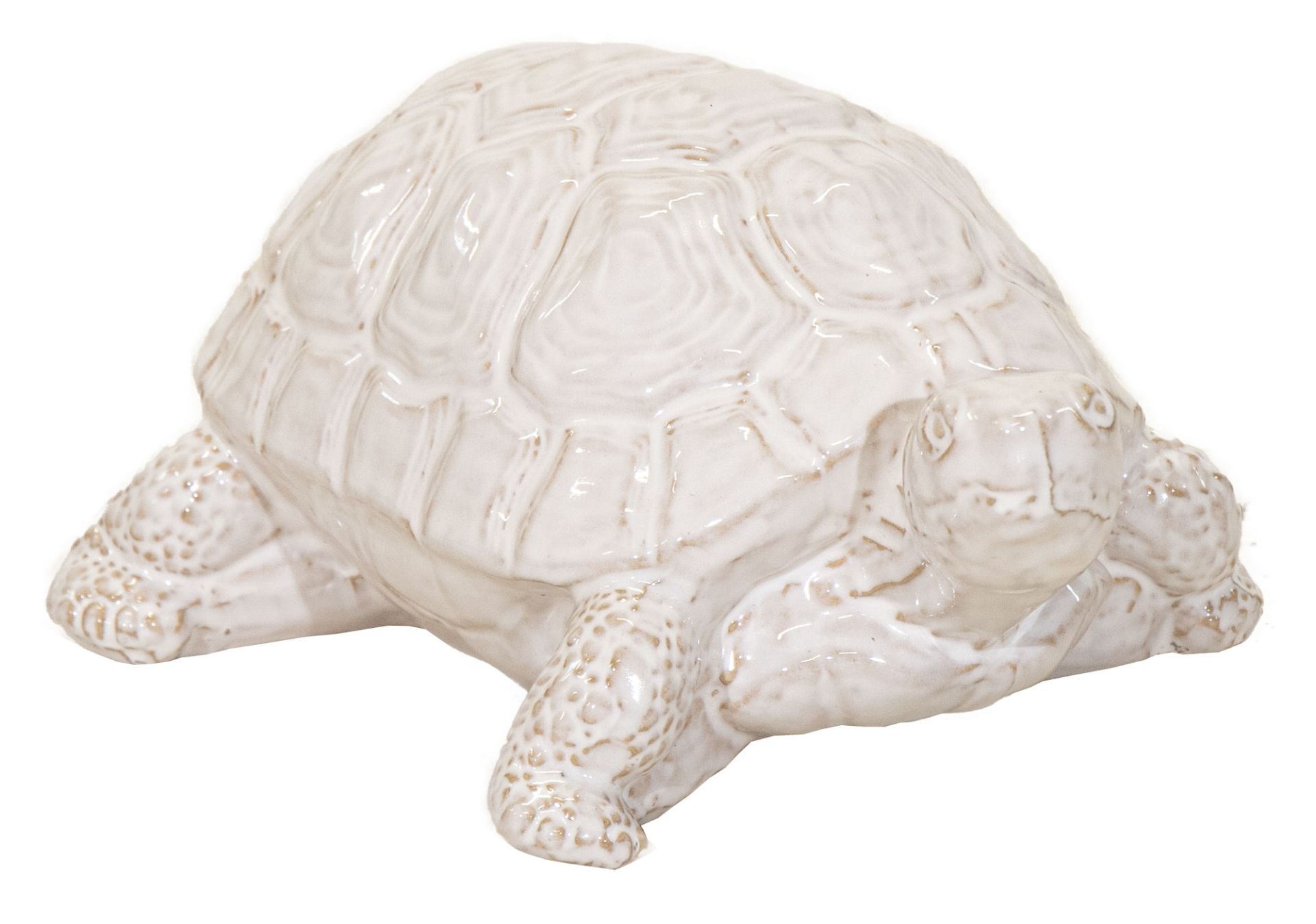 Dual Deco Turtle White L30W20H20