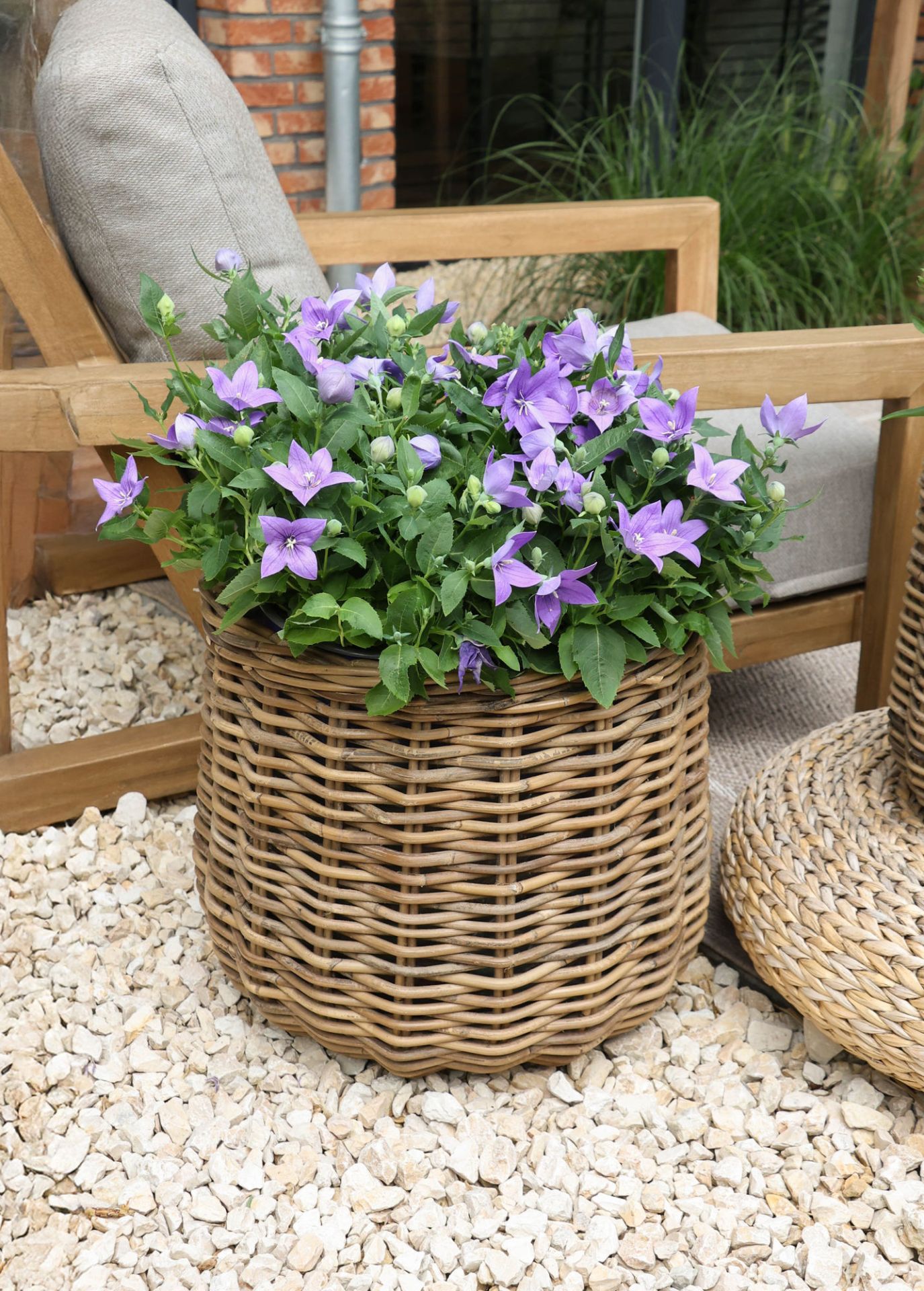 Evi Cauldron -SP- D25H23