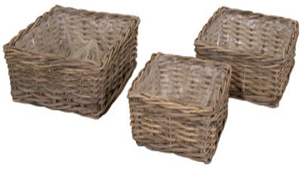 Evi Square Low Basket -SP- 
