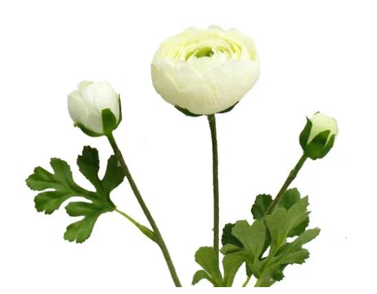 RANUNCULUS 3 HEADS REAL TOUCH