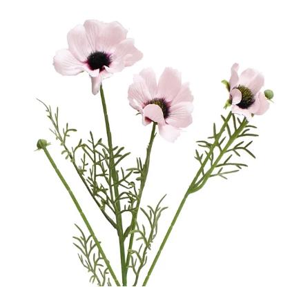 Chrysanthemum  3D real touch 