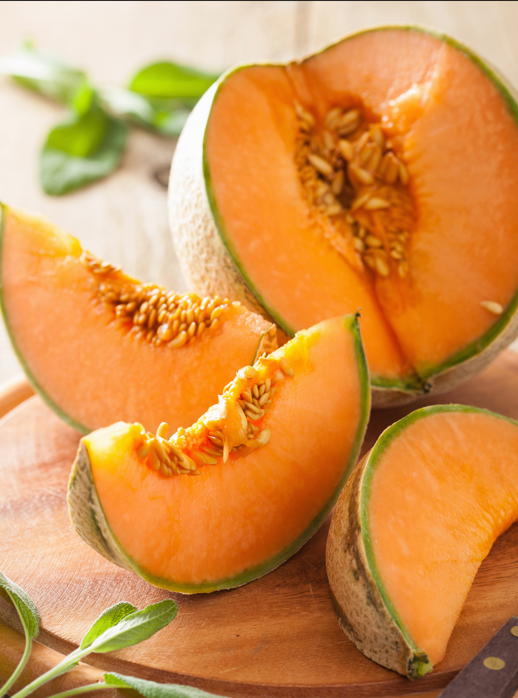 Geënte Meloen 'Charentais' - Melon greffé 'Charentais' Geënte Meloen 'Charentais' - Melon greffé 'Charentais'