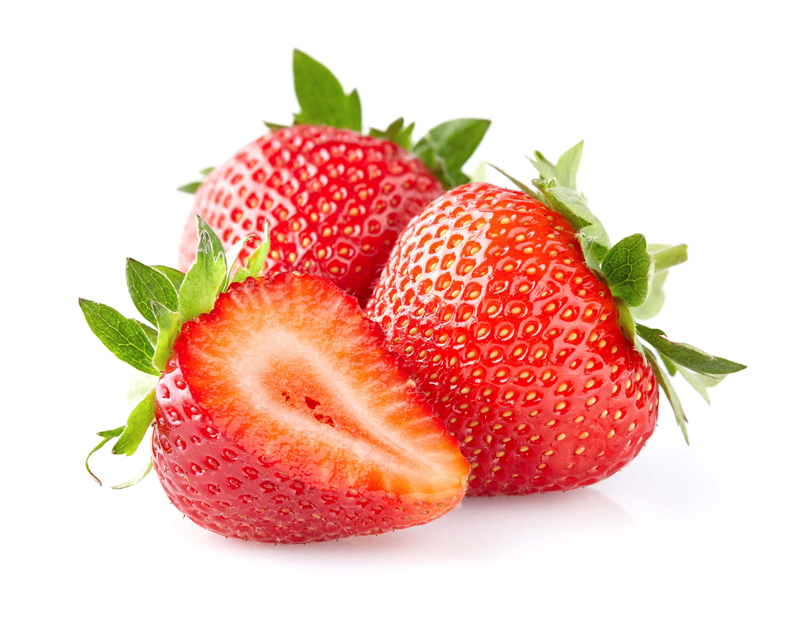 Fragaria Mount Everest 