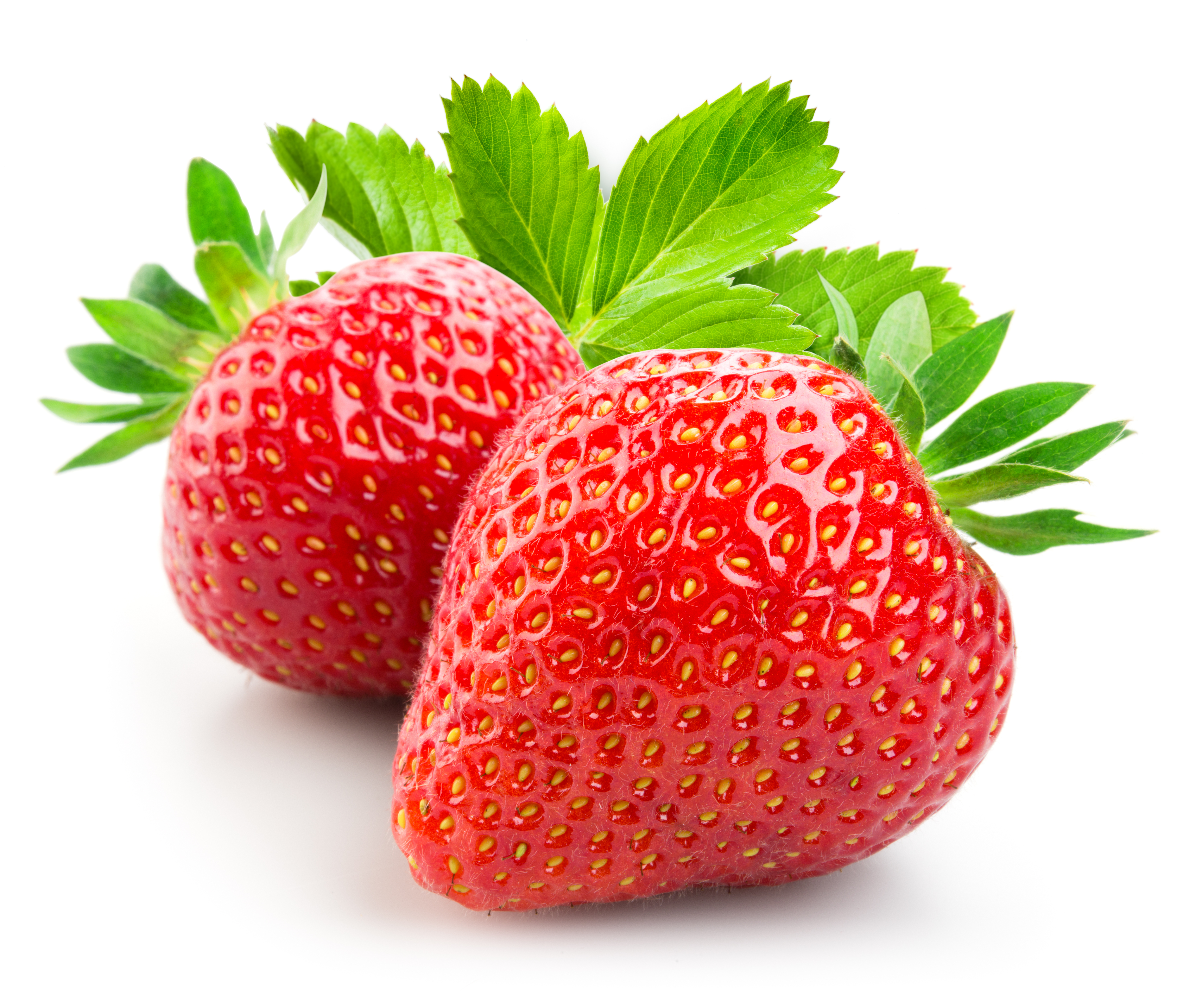 Fragaria 'Darselect'  