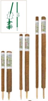 Kokos Plantstok- verlengbaar