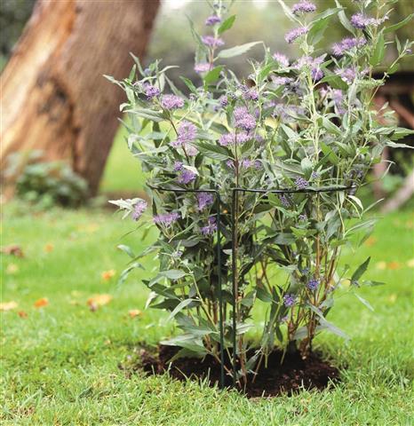 Plantensteun outdoor
