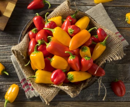 Snack Paprika Rood Snack Paprika Rood