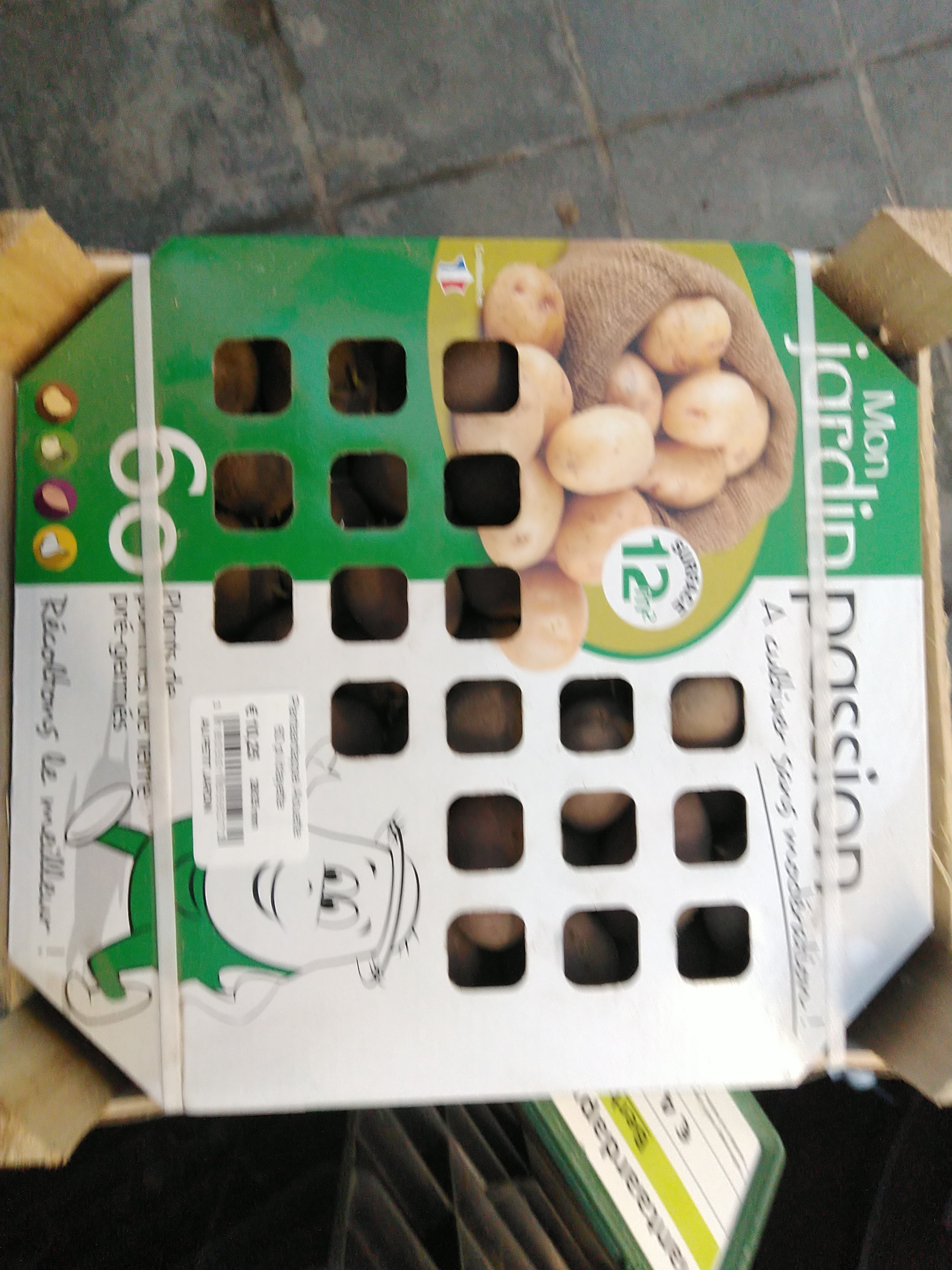 Plantaardappel Alouette 60 pl./clayette Plantaardappel Alouette 60 pl./clayette