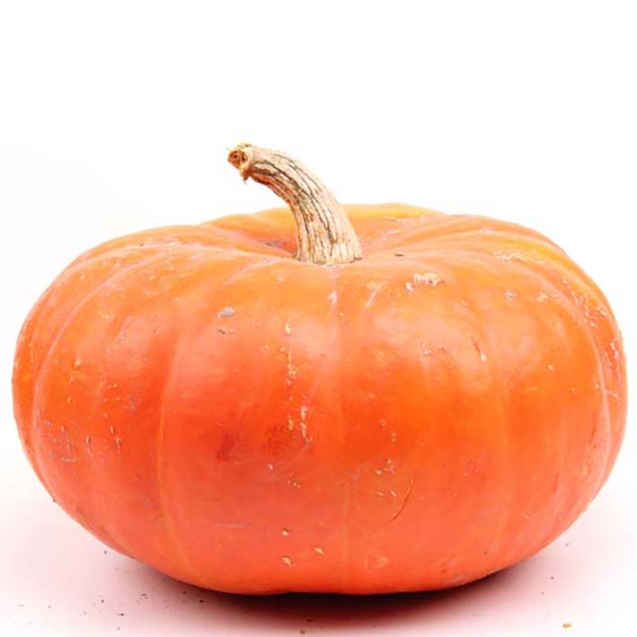 Pompoen oranje 'Rouge vif d'Etampes'  - Potiron orange