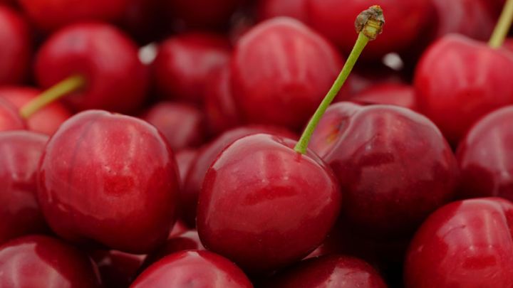 Prunus avium 'Lapins' Prunus avium 'Lapins'