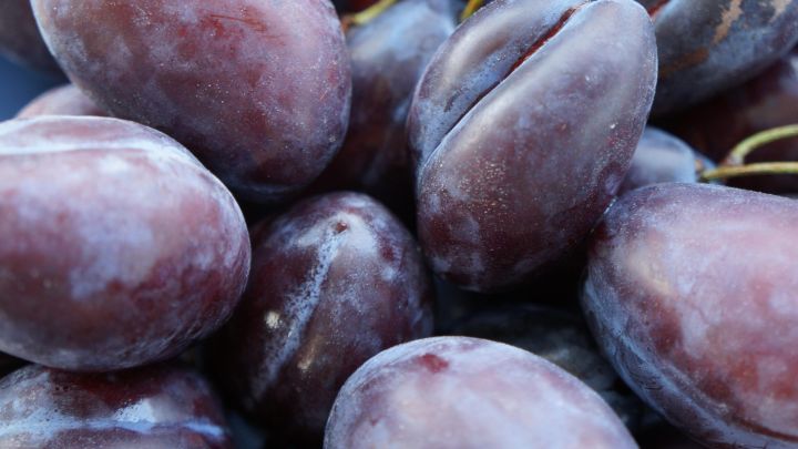 Prunus Pluot Dapple Dandy Prunus Pluot Dapple Dandy
