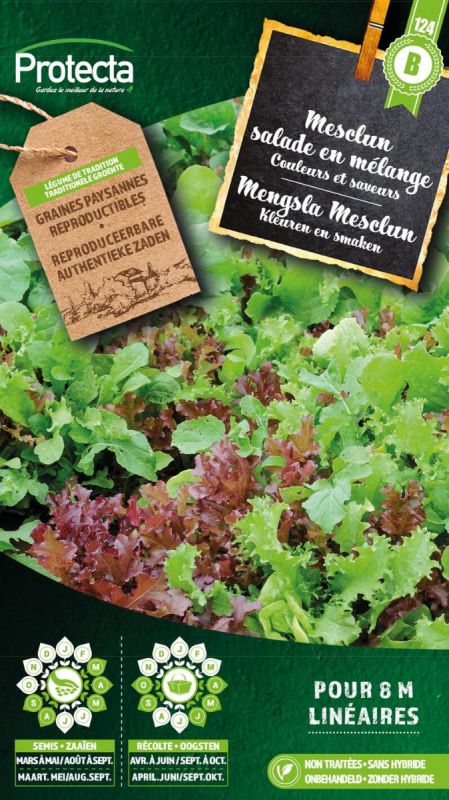 Mengsla Mesclun