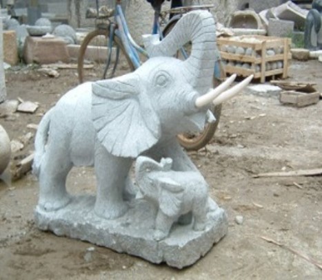Basaniet - Elephant Family