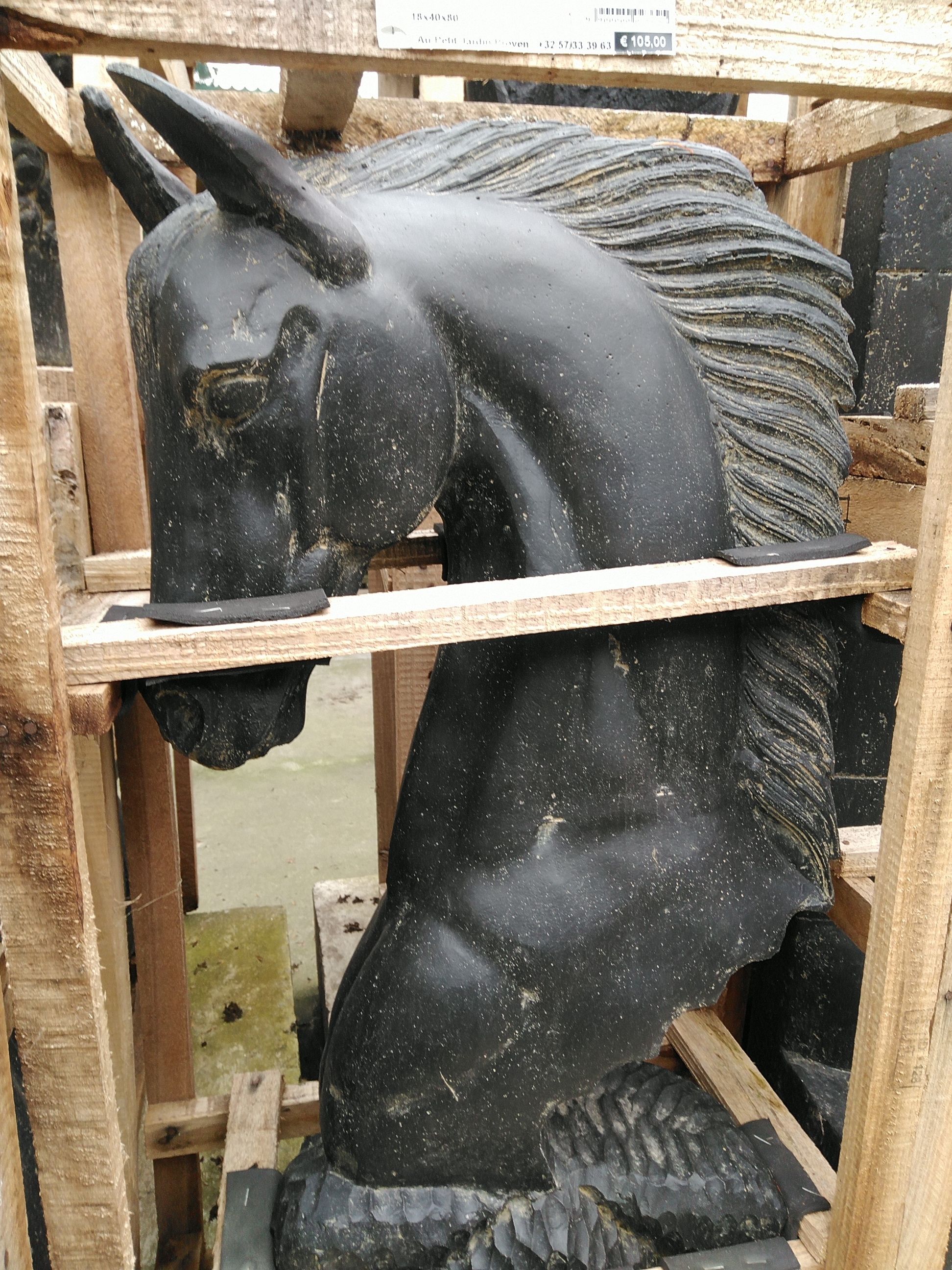 Basaniet - Horse head