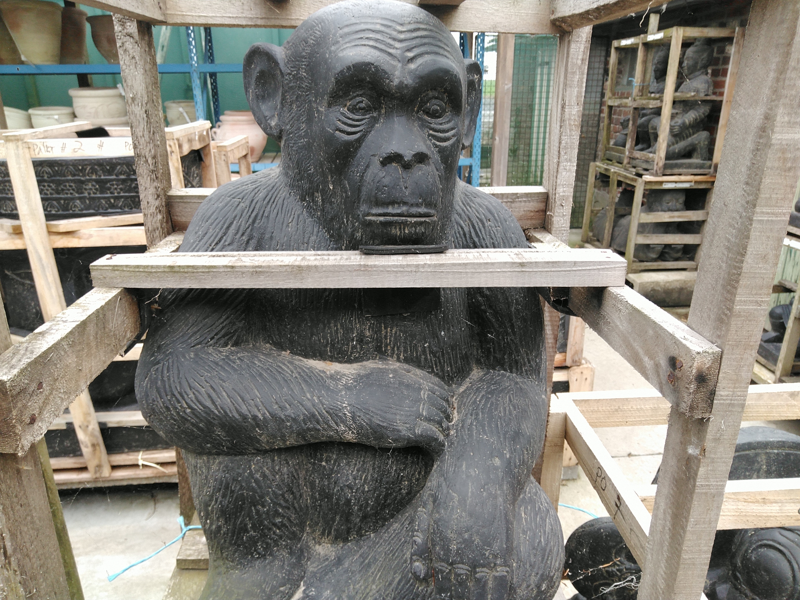 Monkey 60 cm