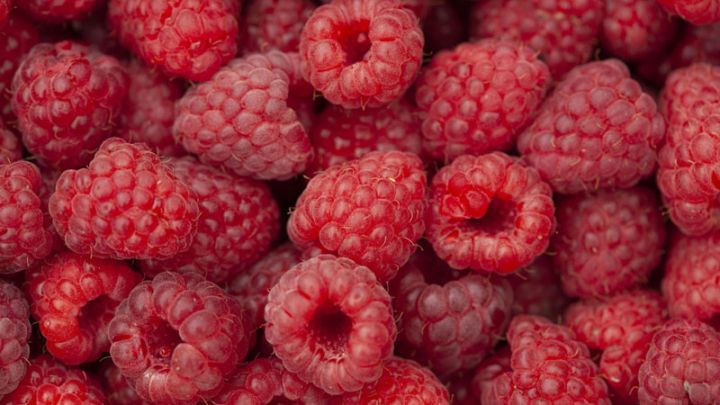 Rubus idaeus 'Tulamagic'