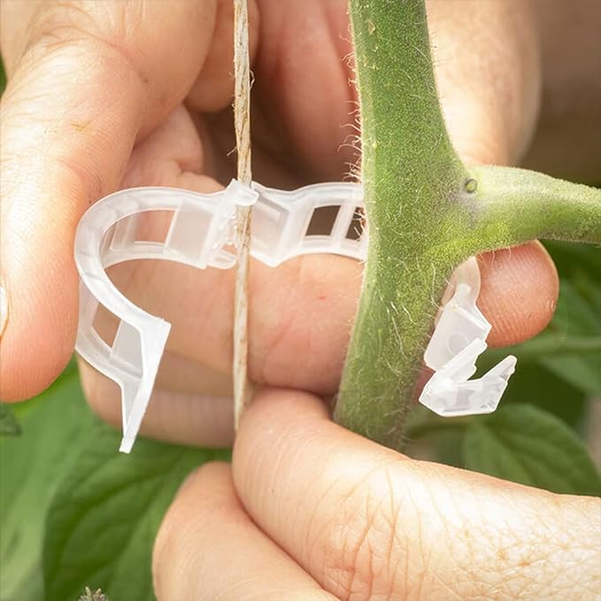 Tomatenclips - Clips de Tomates