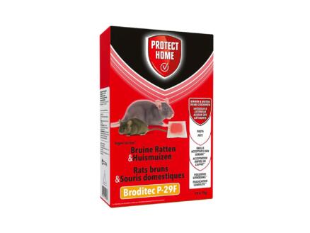 Broditec P-29F (Pasta) 150g Broditec P-29F (Pasta) 150g