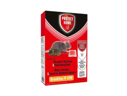 Broditec P-29F (Pasta) 150g