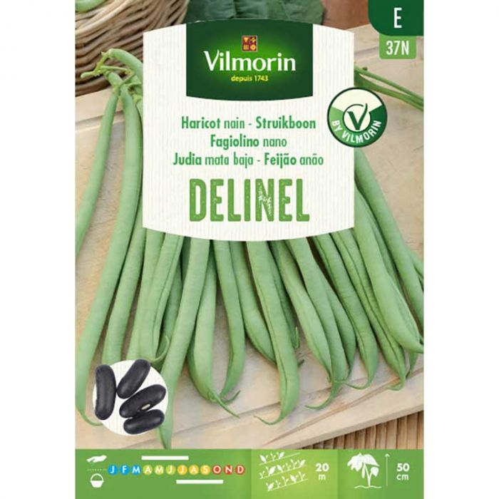 Struikboon Delinel 125g