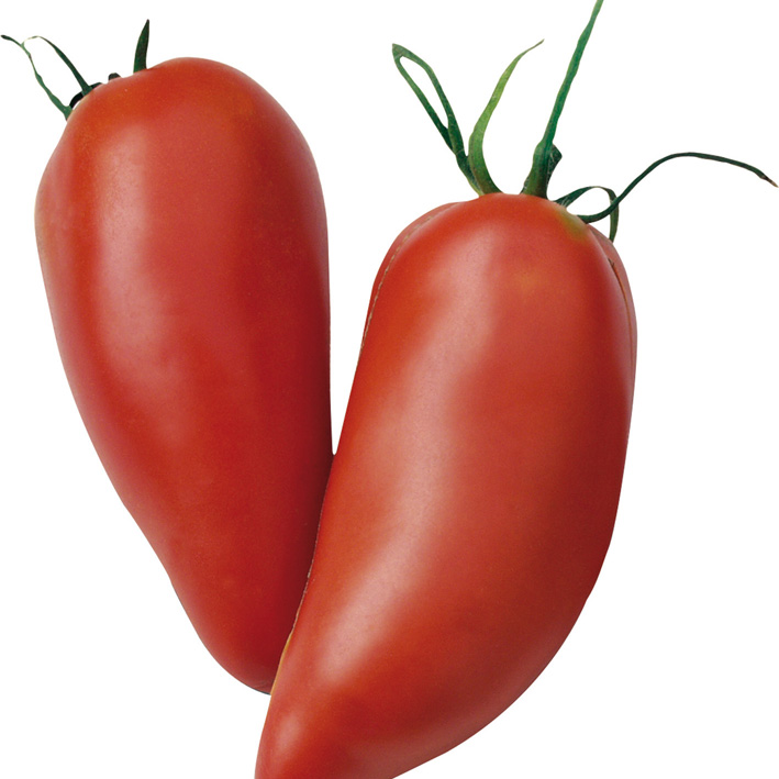 Tomaat 'Andine Cornue'