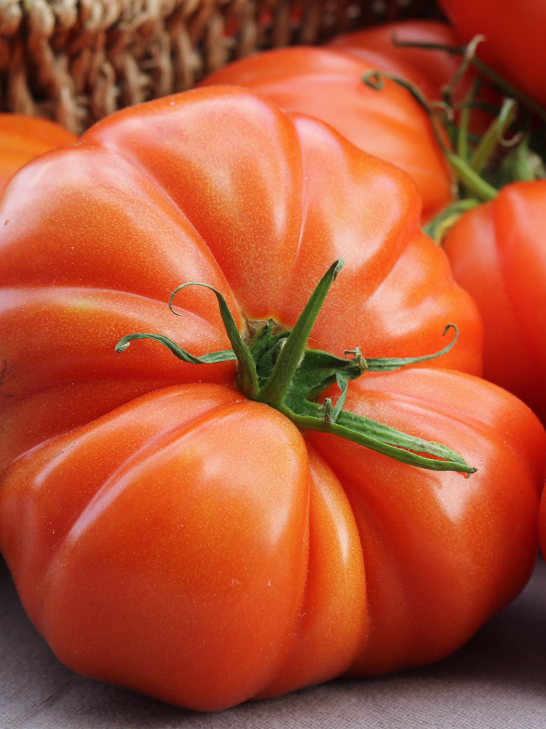 Tomaat 'Buffalo Steak'  F1 
