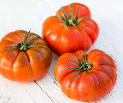 Tomaat 'Buffalo Steak'  F1 