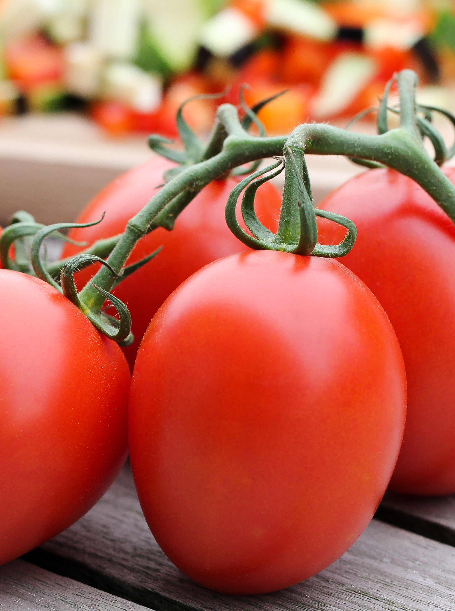 Tomaat geënt Roma 'Patia Red' F1 - Tomate greffée Roma